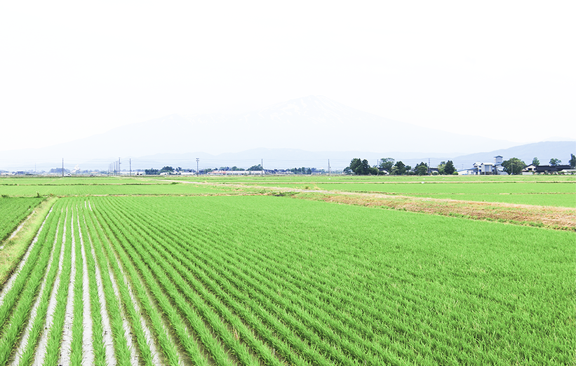 大崎市古川田園風景