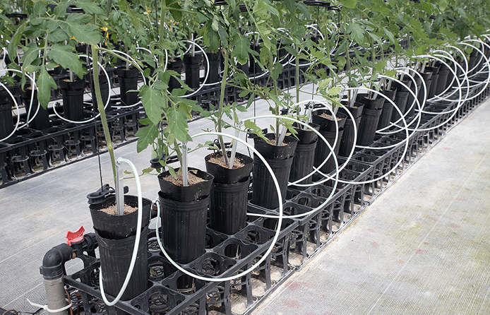 独立ポット栽培システムイメージ