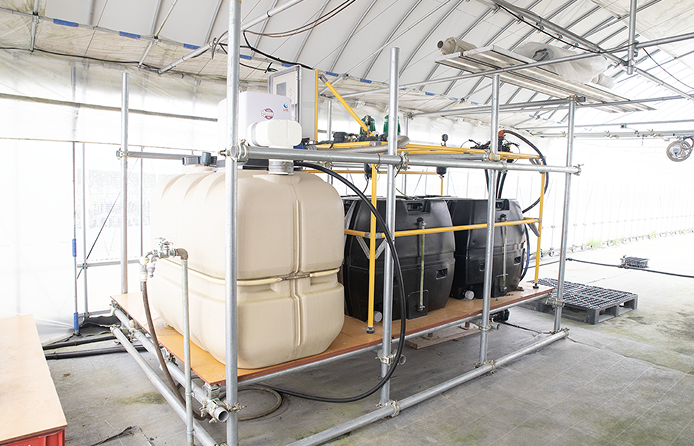 潅水システムで水分・肥料管理を最適化